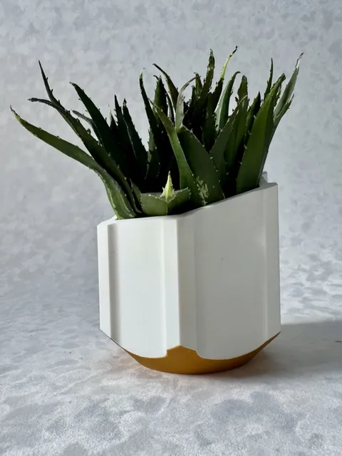 Modern Planter