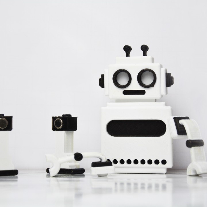 Magnetic Robot Puzzle